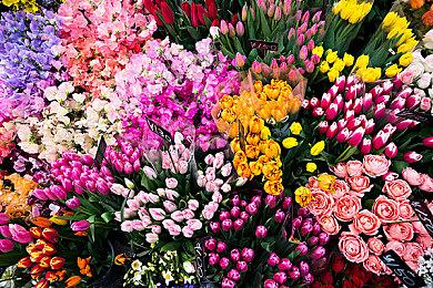 PLAYISM游戏展：东方Project游戏新作《攻杂世界》年内上Steam